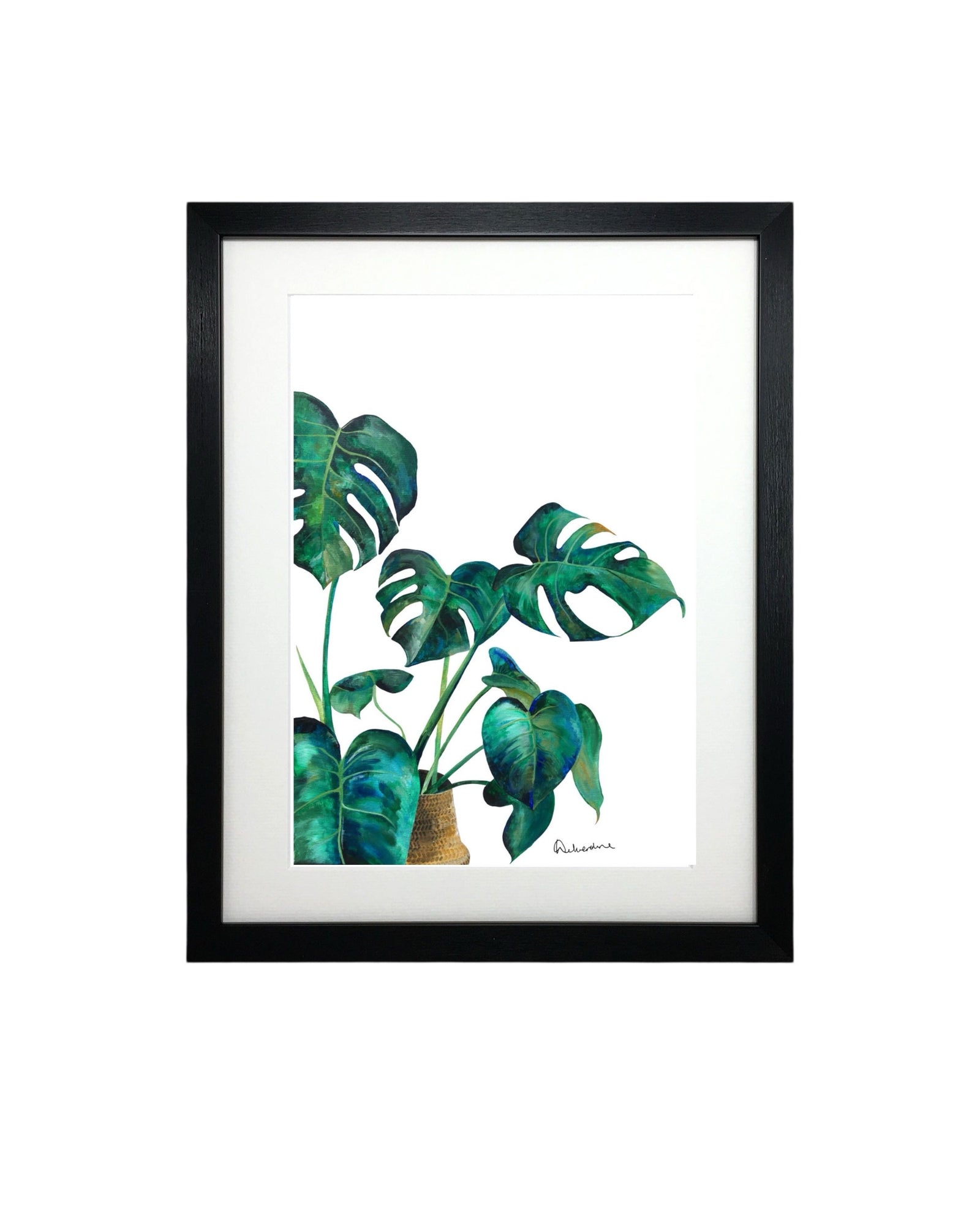 Monstera Plant Botanical Flower Print