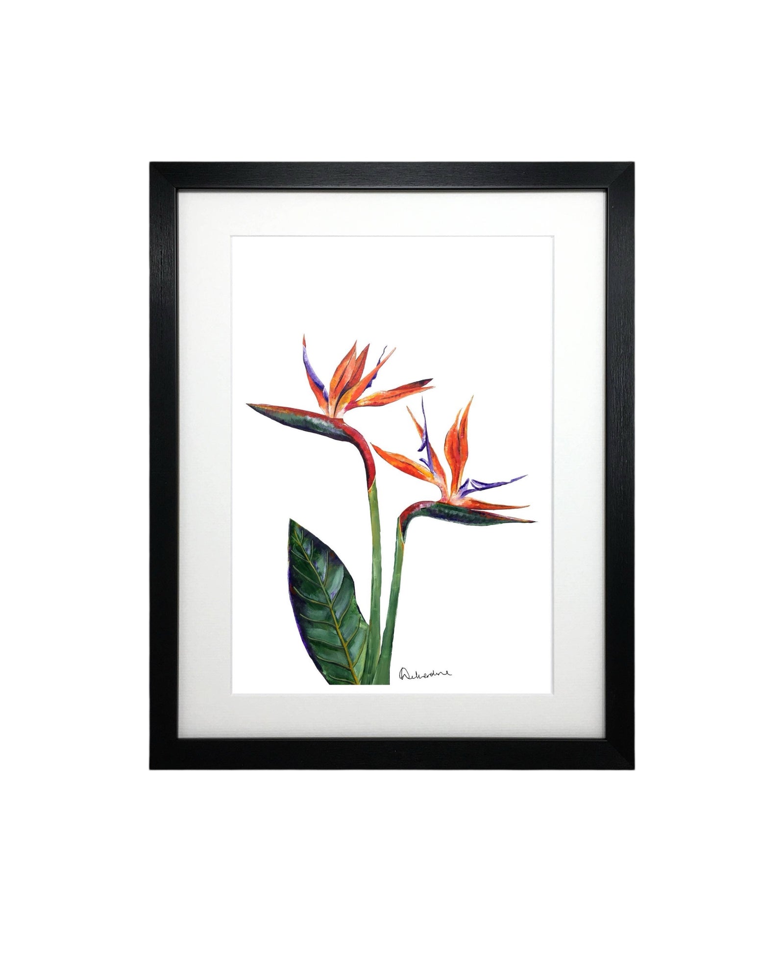 Bird of Paradise Botanical Flower Print