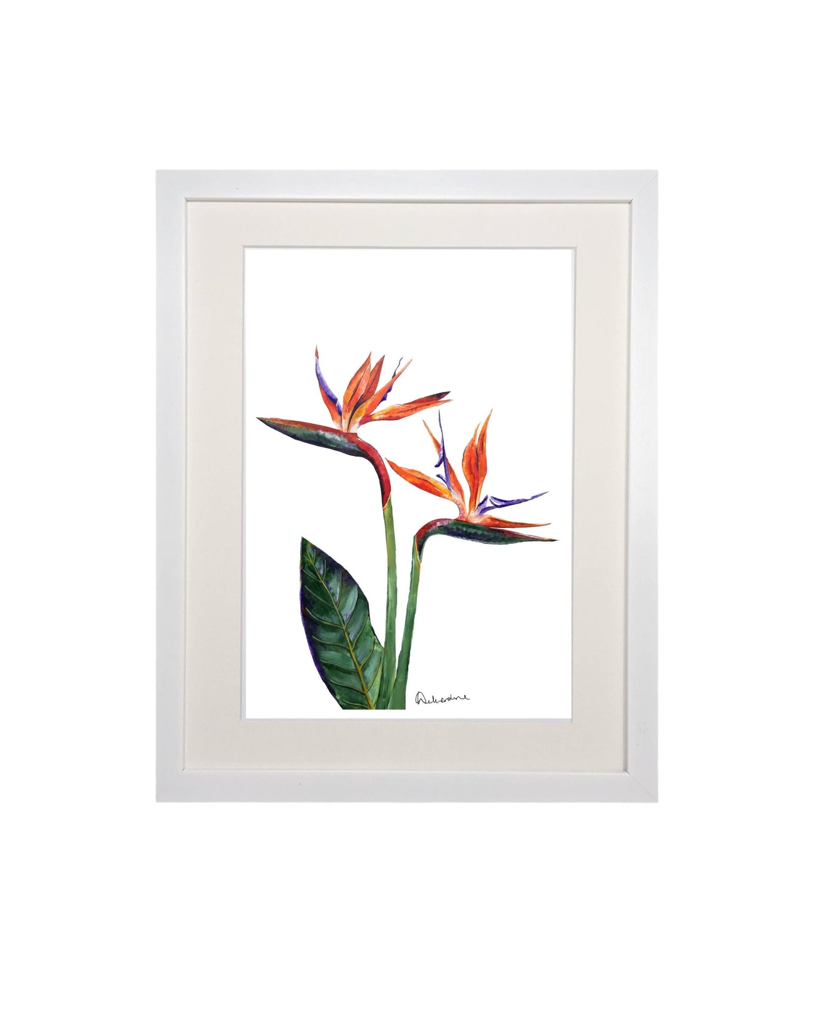 Bird of Paradise Botanical Flower Print