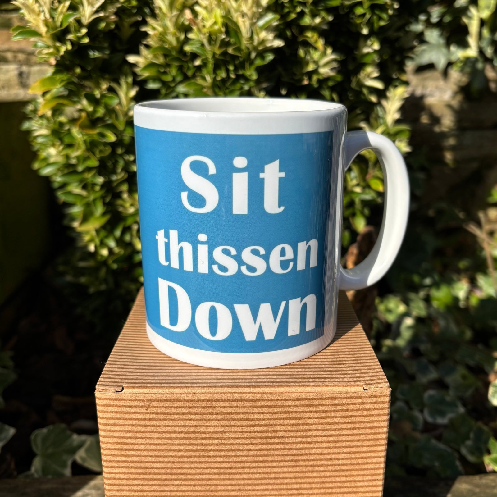 Northerner Yorkshire Sit Thissen Down Mug