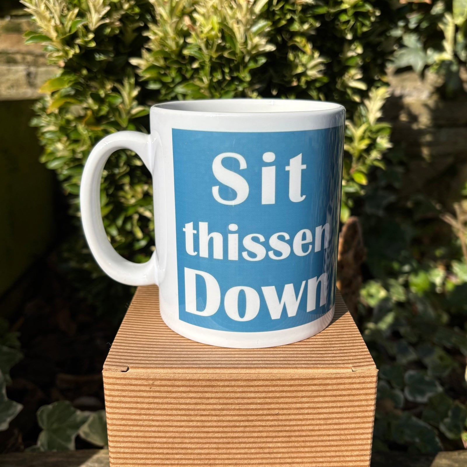 Northerner Yorkshire Sit Thissen Down Mug