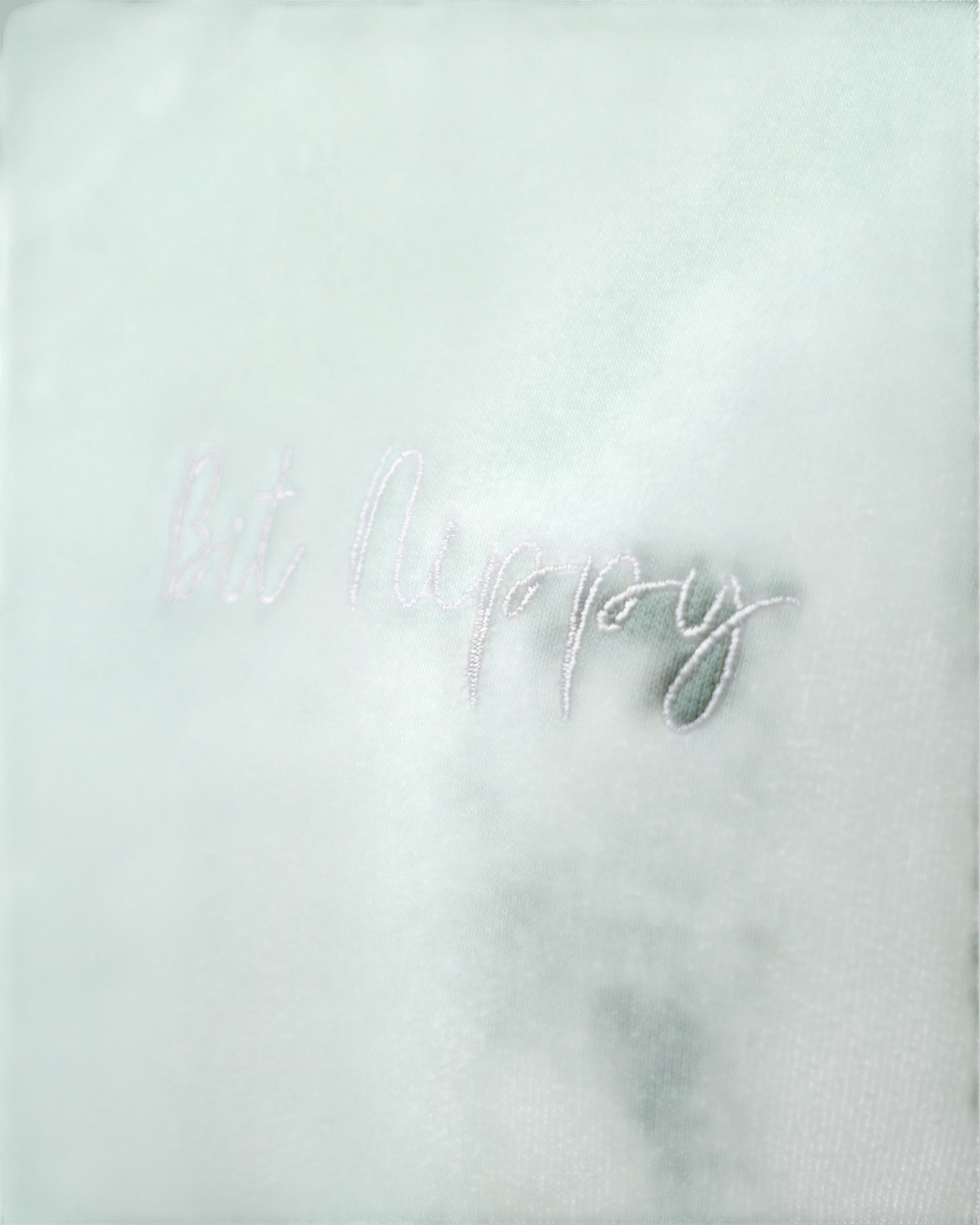 LighthouseLane sage green cotton blend sweatshirt featuring white Bit Nippy cursive embroidery on the chest