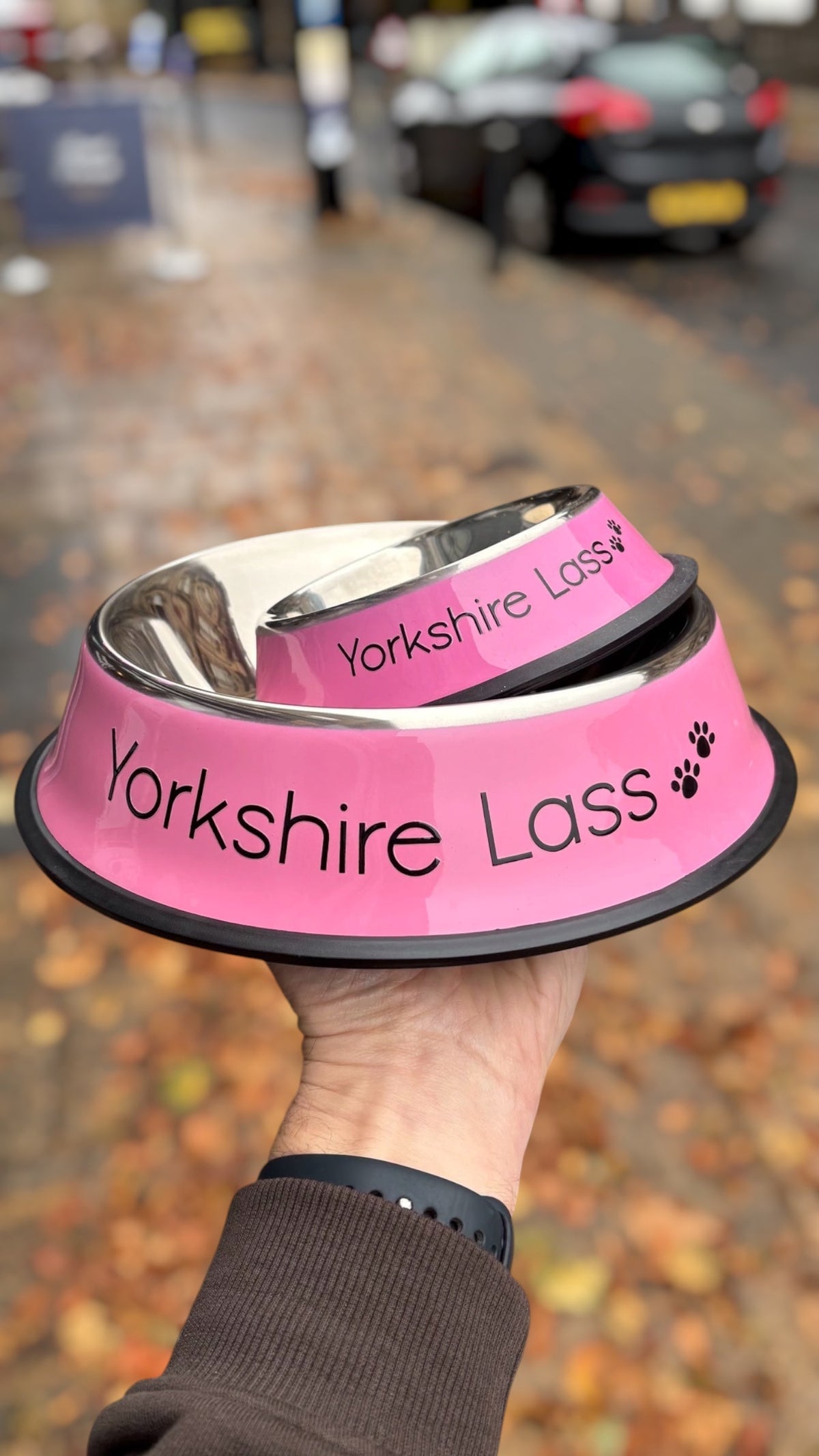 LighthouseLane pink stainless steel Yorkshire Lass dog bowls in two sizes held in a hand outdoors.