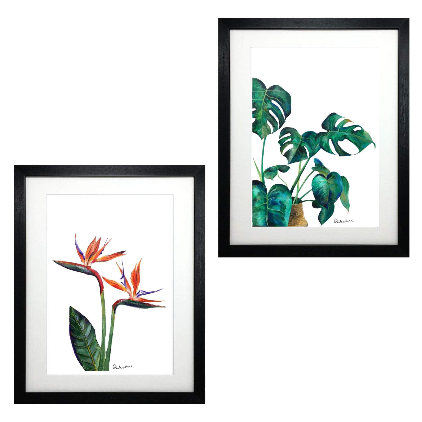 Bird of Paradise Botanical Flower Print