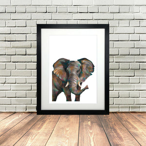 Elephant White Background