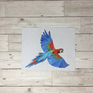 Parrot Painting Original Artwork
