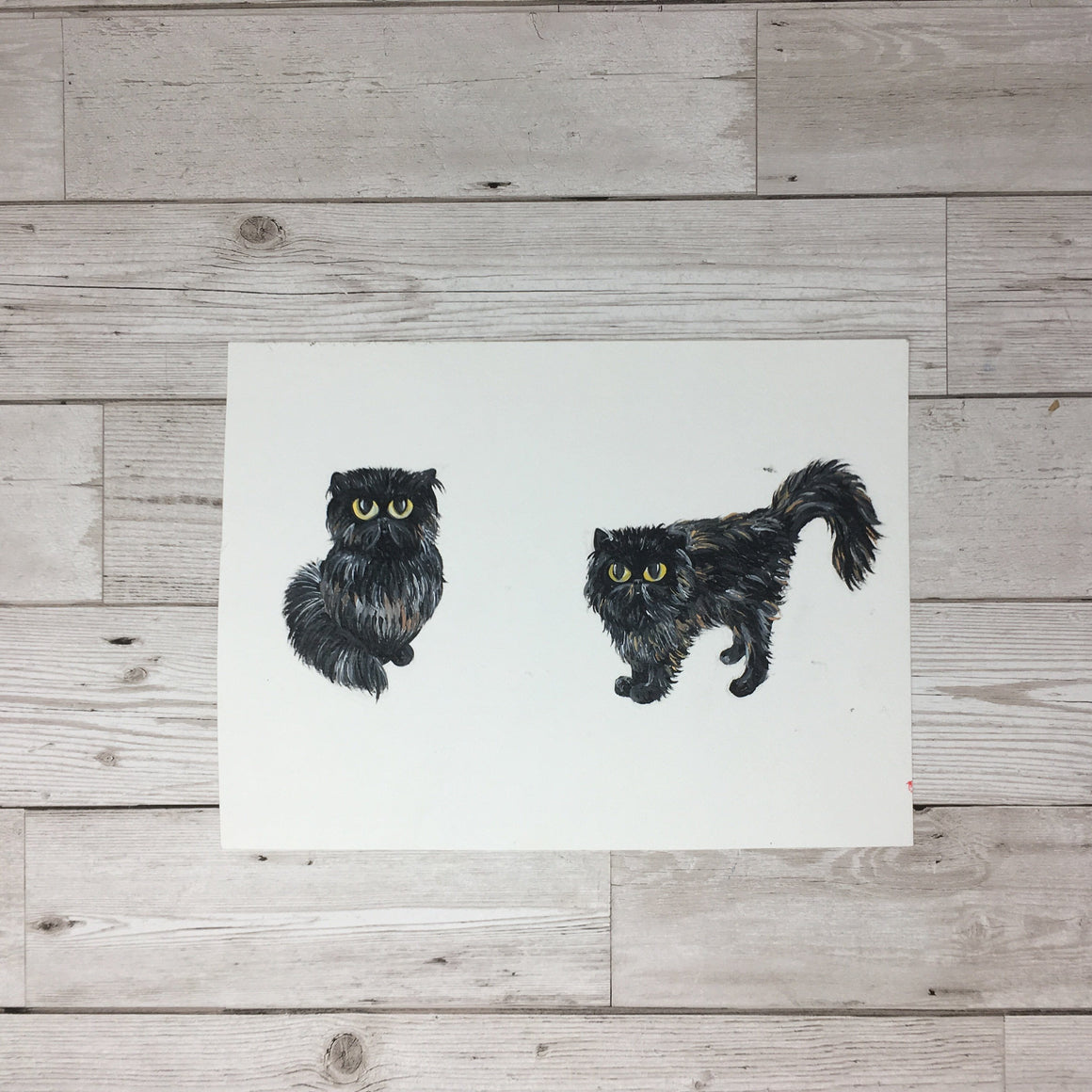 Persian Cat Painting Original Artwork