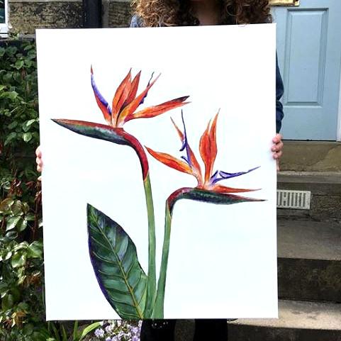 Bird of Paradise Canvas