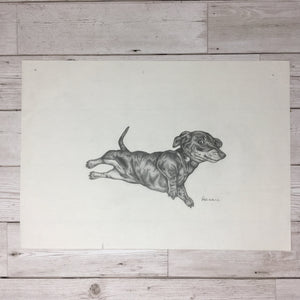 Sausage Dog Sketch Original Artwork