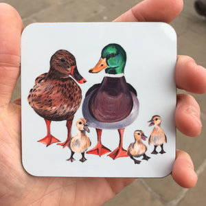 Duck Mallard Coaster