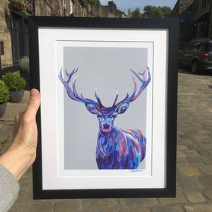Colourful Stag Print